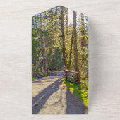 森エレガントの木の熱帯屋外結婚写真 オールインワン招待状 (外側)