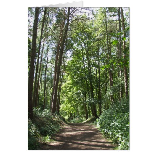 森カード (正面)