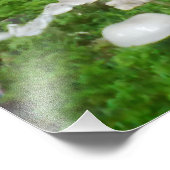 森キノコ フォトプリント            (角)