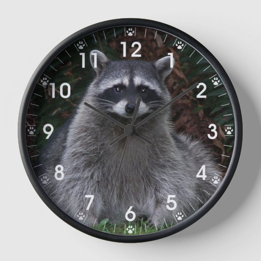 森ラクーン野生動物の写真とポープリント 壁時計 (正面)