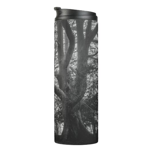 森不気味のモノクロ写真 タンブラー (回転右)