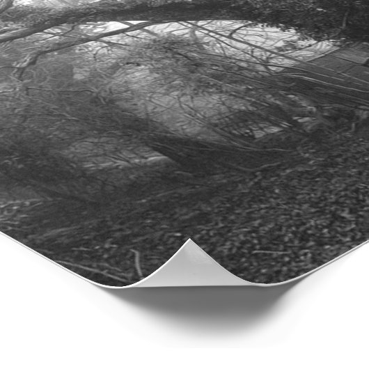 森不気味のモノクロ写真 ポスター (角)