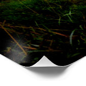 森不気味林 ポスター (コーナー)