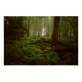 森失ったの中 ポスター