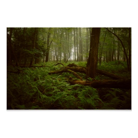 森失ったの中 ポスター (正面)