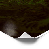 森失ったの中 ポスター (コーナー)