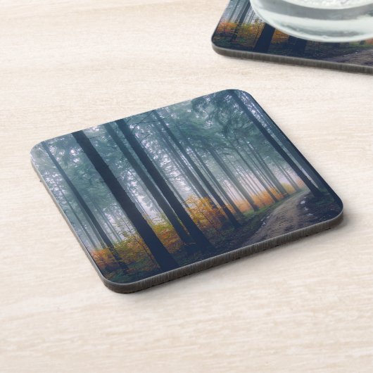 森威厳のあるの木の並木道 コースター (左側)