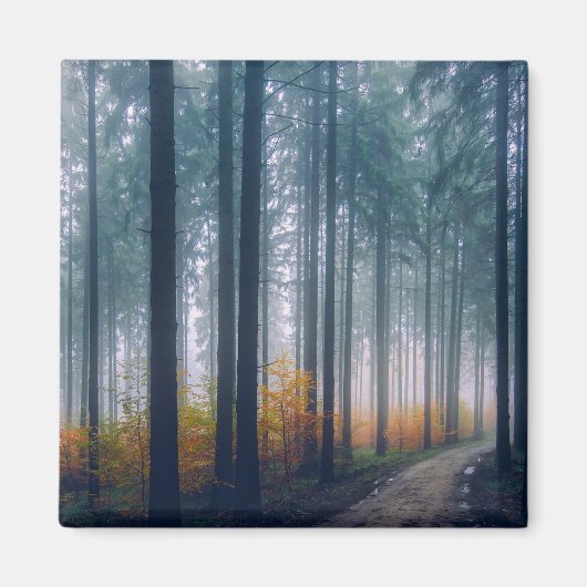 森威厳のあるの木の並木道 マグネット (正面)