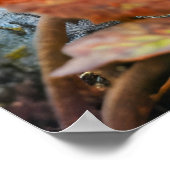 森感じの床にドングリを集めるリス ポスター (角)