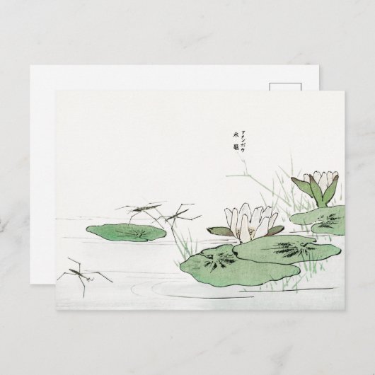 森本東湖はがき作の池の水抜き ポストカード (正面/裏面)