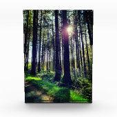 森来の木の間の日光 フォトブロック (正面)