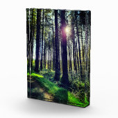 森来の木の間の日光 フォトブロック (右)