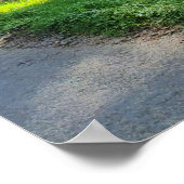 森来の木の間の日光 ポスター (角)