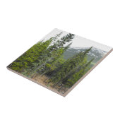 森林および山場面写真のタイル タイル (側面)