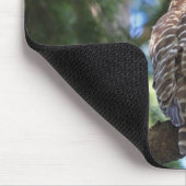 森林で凝視している野生のやじり声フクロウ マウスパッド (コーナー)