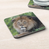 森林でLoungingライオン コースター (左側)