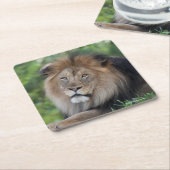 森林でLoungingライオン スクエアペーパーコースター (アングル)