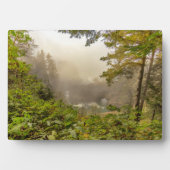 森林と海の風景 フォトプラーク (正面)