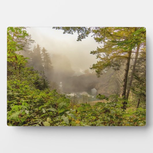 森林と海の風景 フォトプラーク (正面)