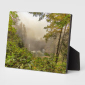 森林と海の風景 フォトプラーク (側面)