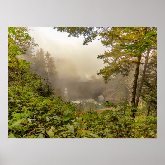 森林と海の風景 ポスター (正面)