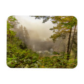 森林と海の風景 マグネット (横)