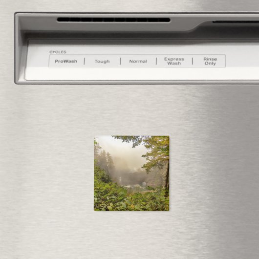 森林と海の風景 マグネット (インサイチュ (食洗機))