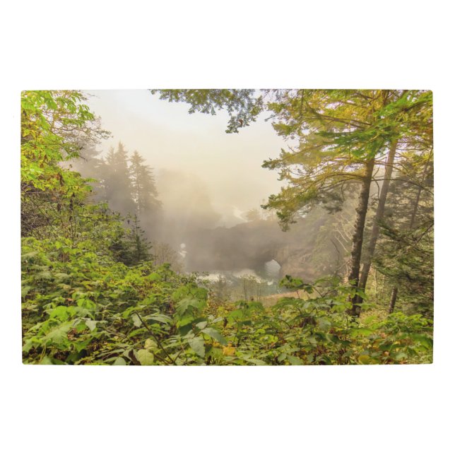 森林と海の風景 メタルプリント (正面)