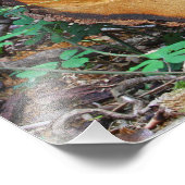 森林にログインする フォトプリント            (角)