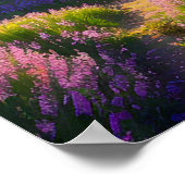 森林に覆われた丘のピンクの草原 ポスター (角)