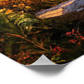 森林に覆われた渓谷を越えた息をのむようなアルパインの日の出 ポスター (角)