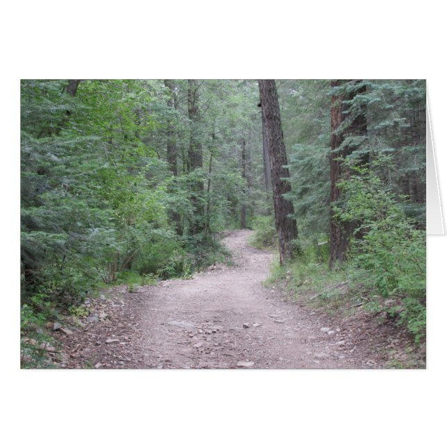 森林に (正面横)