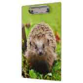 森林のかわいく小さいハリネズミ クリップボード (左)