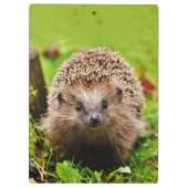 森林のかわいく小さいハリネズミ クリップボード (裏面)