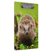 森林のかわいく小さいハリネズミ クリップボード (右)