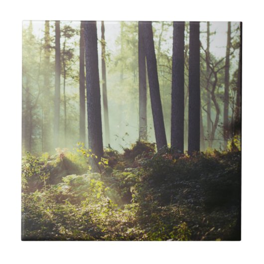 森林のやぶのパッチ タイル (正面)