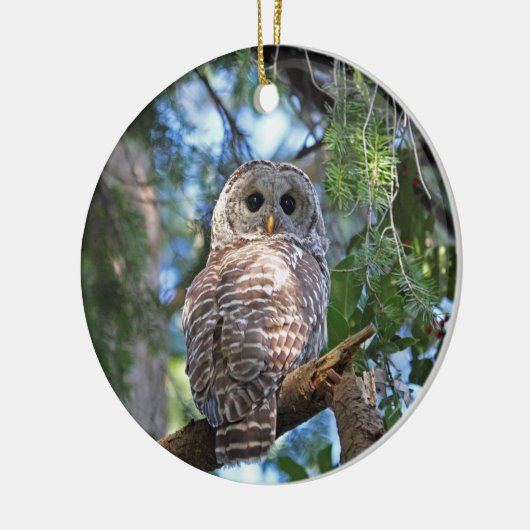 森林のアメリカフクロウ セラミックオーナメント (左)