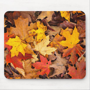 森林のカラフル紅葉背景 マウスパッド