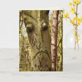 森林のグリーティングカード カード (黄色い花)