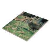 森林のシカのランニング タイル (側面)
