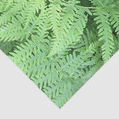 森林のシダ 薄葉紙 (詳細)