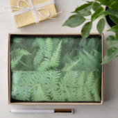 森林のシダ 薄葉紙 (ギフト)