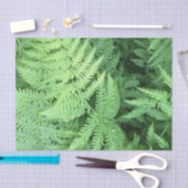 森林のシダ 薄葉紙 (クラフト)