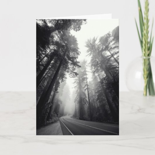 森林のセコイア木の眺め カード (正面)