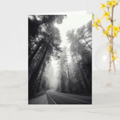 森林のセコイア木の眺め カード (黄色い花)