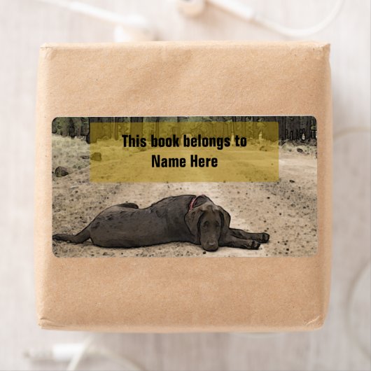 森林のトレイルにあるチョコレート実験室 ラベル (インサイチュ)