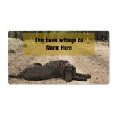 森林のトレイルにあるチョコレート実験室 ラベル (正面)