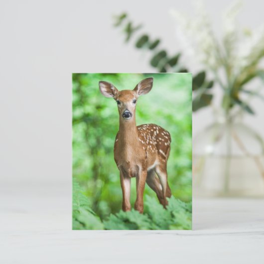 森林のベビーのシカの子鹿Bambi ポストカード (スタンド正面)