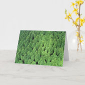 森林の上 カード (黄色い花)