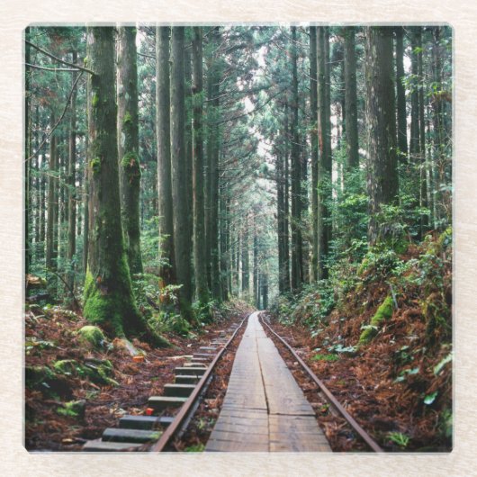 森林の列車トラック ガラスコースター (正面)